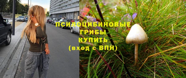 ПСИЛОЦИБИНОВЫЕ ГРИБЫ Дмитровск