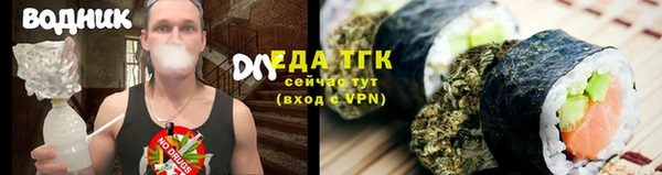 эйфоретик Дмитриев