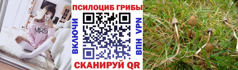 Псилоцибиновые грибы ЛСД Невинномысск
